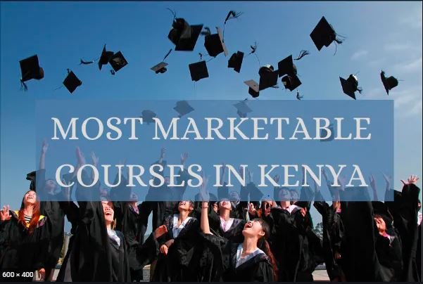 List Of Marketable Courses To Pursue In Kenya In 2024