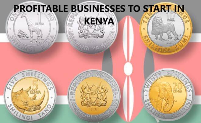 16 Profitable Businesses In Kenya You Should Know