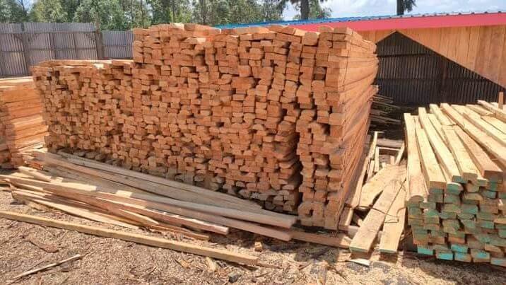 timber business plan pdf kenya