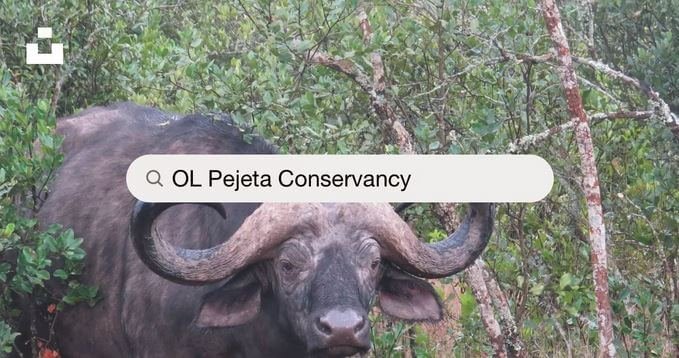Ol Pejeta Conservancy Kenya