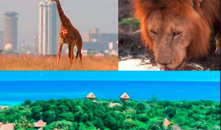 The Top Travel Destinations in Kenya for 2024