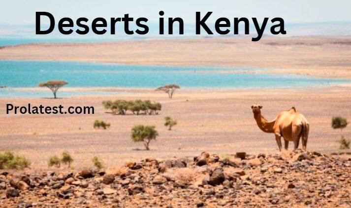 Deserts in Kenya